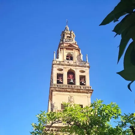 Apartamento Apartamento Laura. Estancia Agradable En *