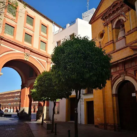 Apartamento Laura. Estancia Agradable En Apartment *